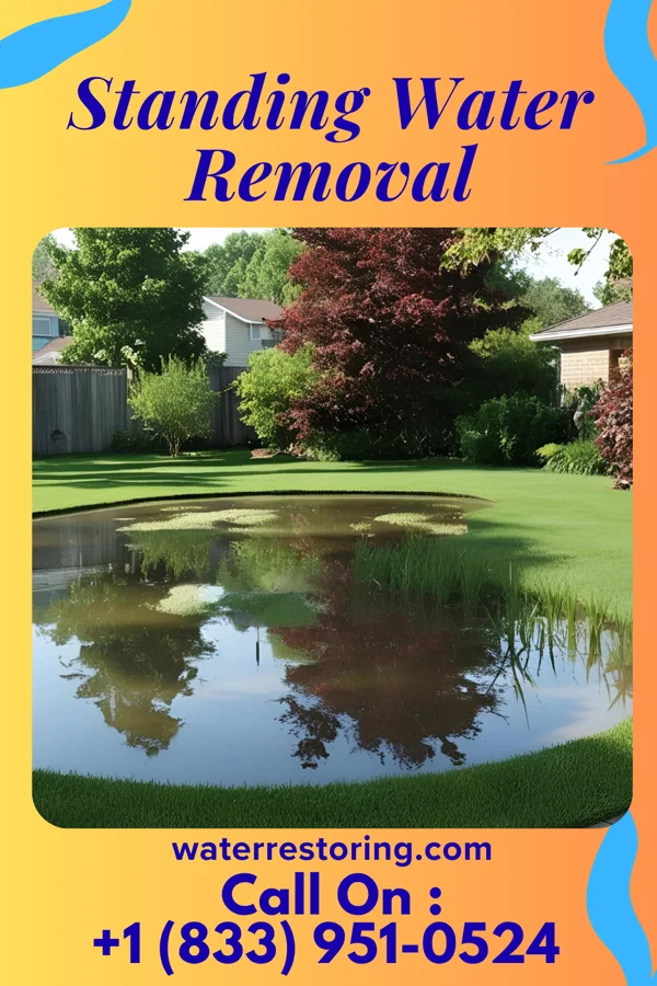 Standing Water Removal in McBee, SC